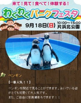 移動水族館１